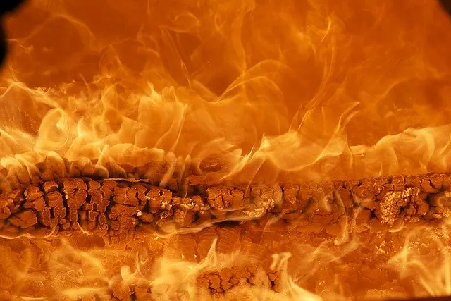 Fire_license_procedure